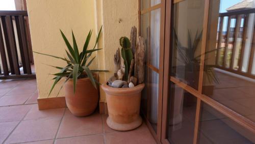 Apartamento Casa Mente