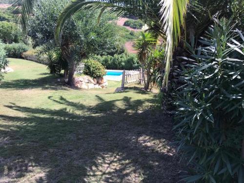 Apartamento Azalea