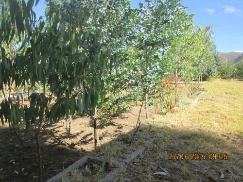 Agroturismo La Due�a