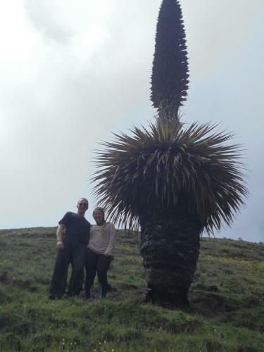 Hotel Patrick�s Adventures