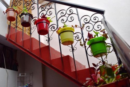 Carlos Guest House Cusco 4