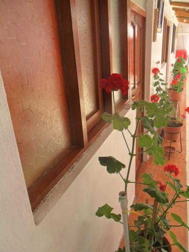 Hostal Casa 7 Cusco