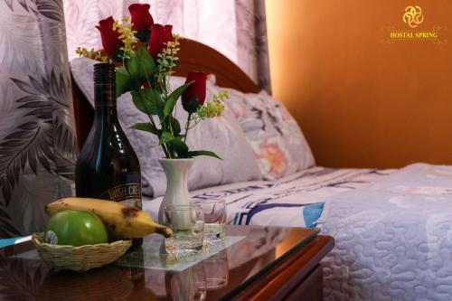 Hostal Spring