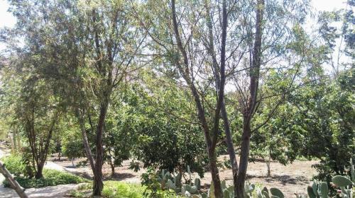 Rio Viejo Ecolodge & Camping