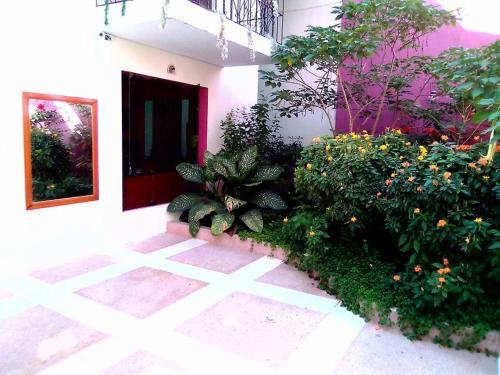 Amazonas Green Hostel