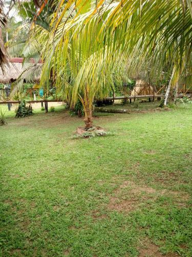 Lodge Amazon Hostal Tours