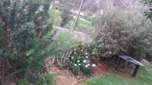 Caba�a En Valle Sagrado (lamay)