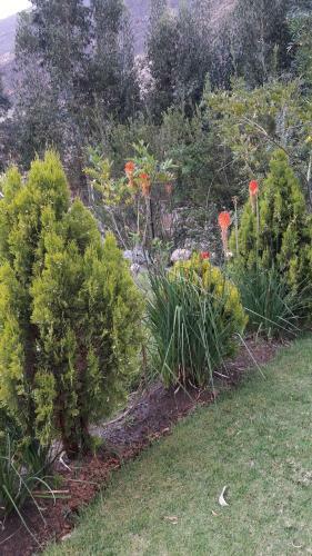 Caba�a En Valle Sagrado (lamay)
