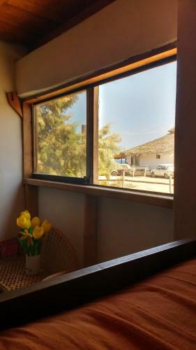Hostal Ecodelfinazul