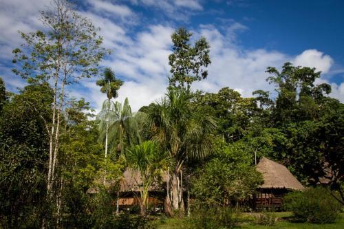 Lodge Manu Learning Centre