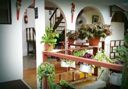 Hostal Hospedaje Plaza Inn