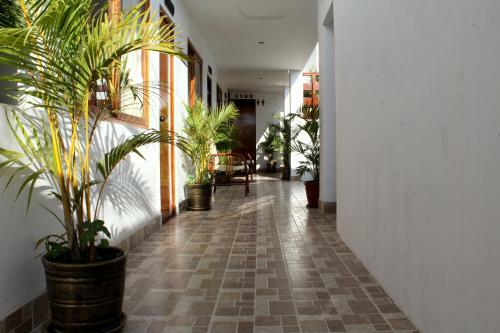 Hostal Palmeras House - Paracas