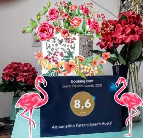 Aquamarine Paracas Beach Hostal