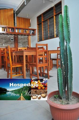 Posada Selva Magica Un Hogar Donde Llegar