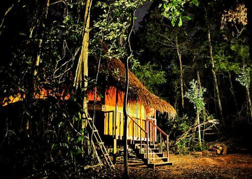 Albergue Treehouses In The Jungle