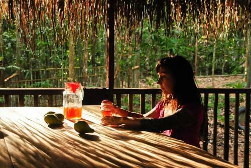 Albergue Treehouses In The Jungle