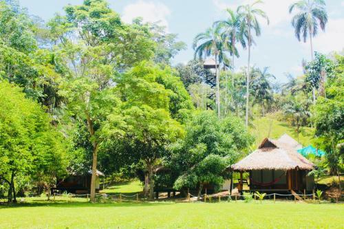 Lodge La Habana Amazon Reserve