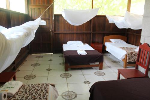 Paradise Amazon Tambopata Ecolodge