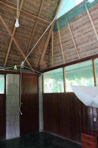 Paradise Amazon Tambopata Ecolodge