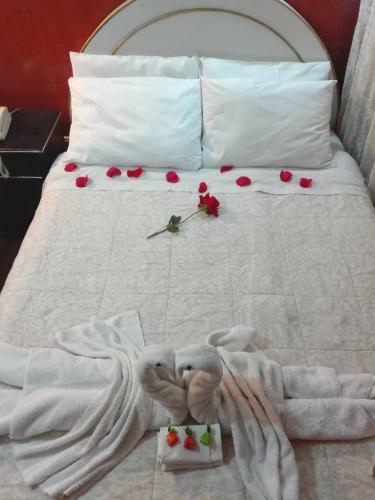 Bed & Breakfast Puma Hostel Puno