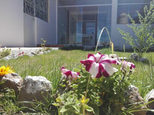 Aymarak Hostel