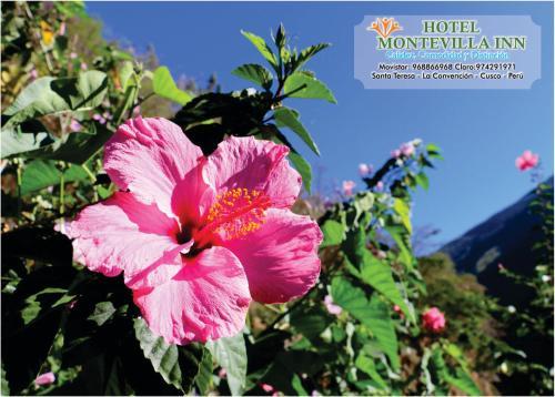 Hotel Montevilla Inn