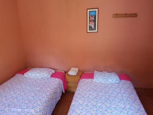 Vip Jungle Lodge