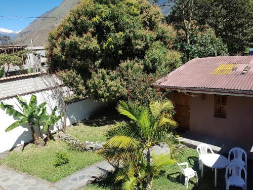 Vip Jungle Lodge