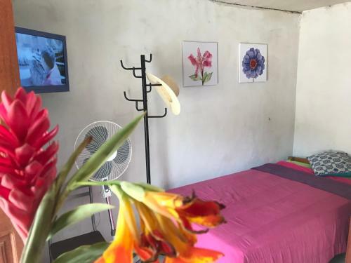 Hostal Ayahuaska