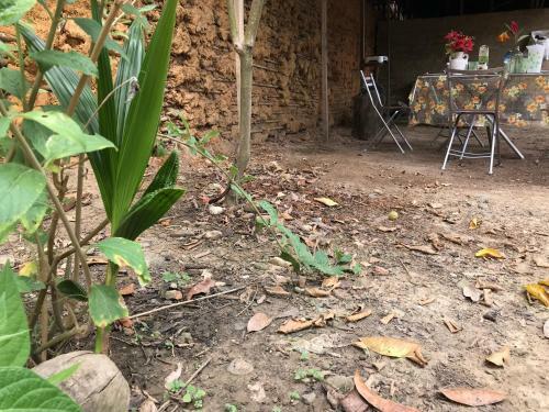 Hostal Ayahuaska