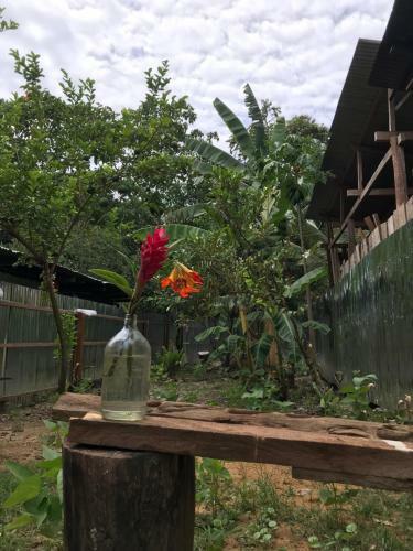 Hostal Ayahuaska