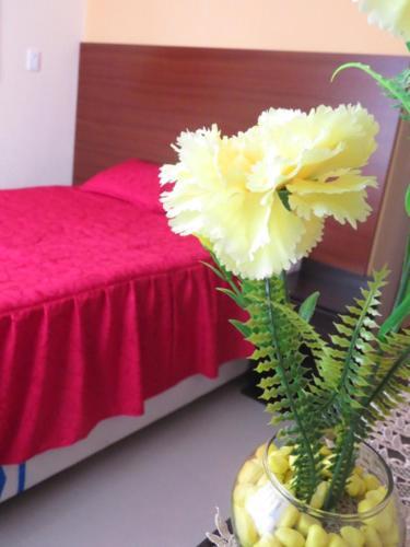 Hotel Residencial Los Sauces
