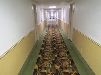 Hotel Super 8 Grand Prairie North