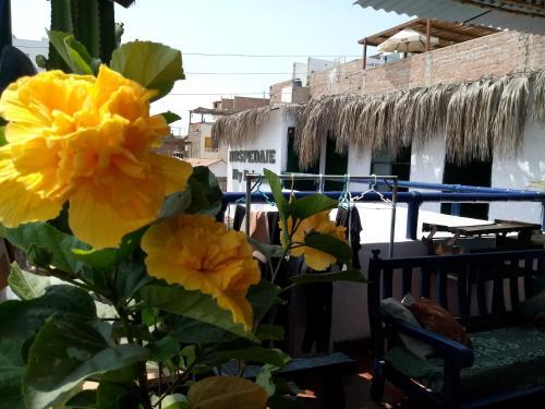 Albergue My Friend Surf Hostal
