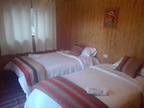 Eco Lodge Caba�as