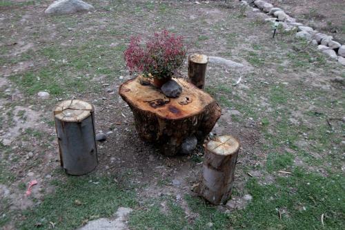 Eco Lodge Caba�as