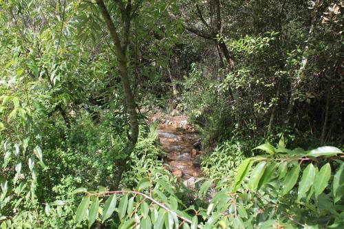 Eco Lodge Caba�as