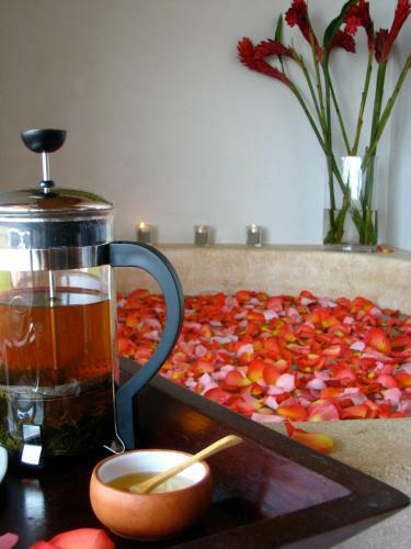 Hotel Origenes Spa & Lodging