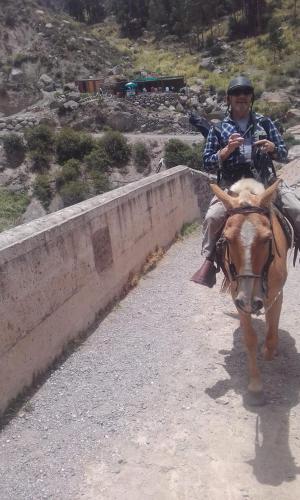 Bed & Breakfast Sumaq Kantuta Wasi
