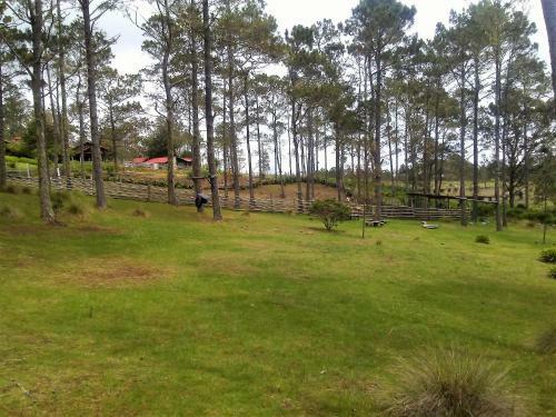 Hotel Villa Pajon Eco Lodge