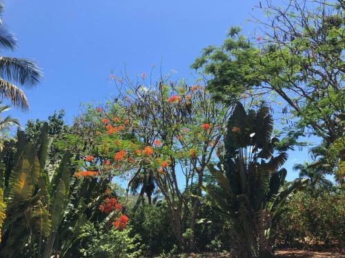 Bed & Breakfast Aventura Rincon Ecolodge