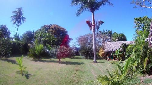 Hostal La Junglita