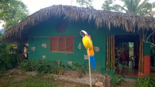 Hostal La Junglita