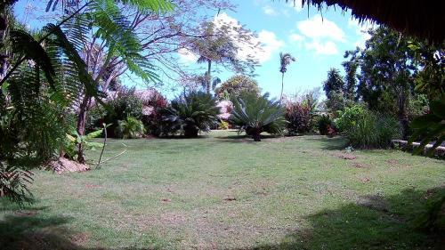 Hostal La Junglita