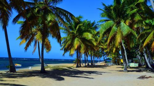 Hostal Tropical Mar