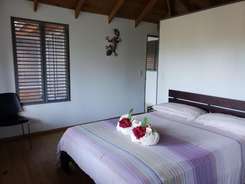 Villa Alix Playa Ballenas