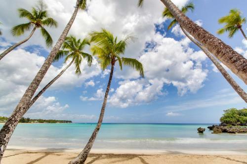 Apartamento Playa Bonita Beachfront 4e1