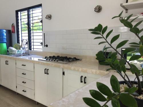 Villa Coralillo 7a