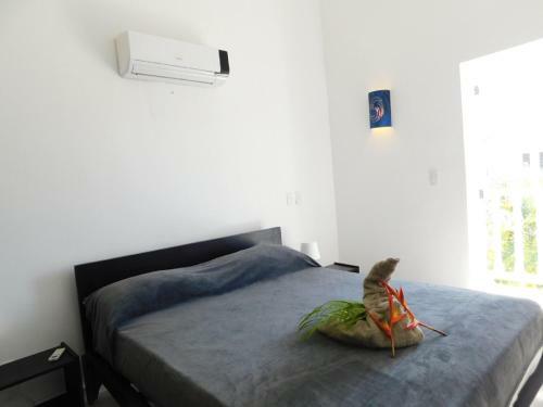 Villa Serenity Playa Popi