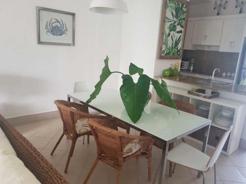 Apartamento Mi Palmera